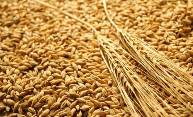 Tunisie - Sécurité alimentaire : La BAD prend en charge l'achat du blé tendre et de l’orge