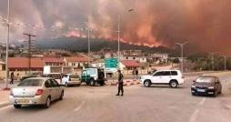  Des incendies sur les frontières tuniso-algériennes