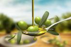 Dépôt des candidatures au Concours international d’huile d’olive à Amsterdam jusqu'au 15 avril