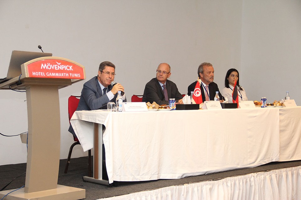 La réalité des investissements étrangers en Tunisie : cas des sociétés allemandes
