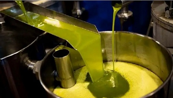 88,1% de l’huile d’olive tunisienne exportées en vrac durant la campagne 2024-2025