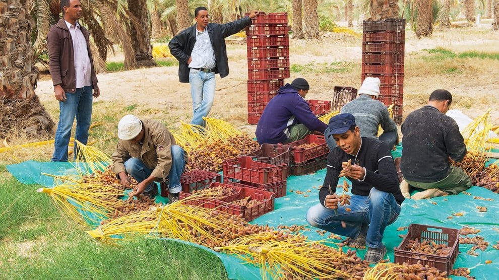 Abderazak Houas: "Quelque 50 mille agriculteurs sont interdits de prêt bancaire"