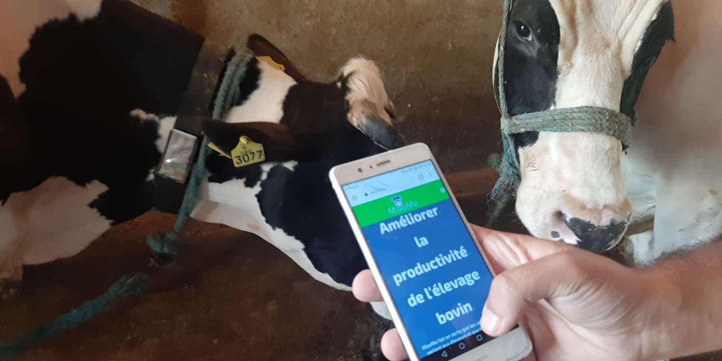 Les Technologies Numériques pour transformer l’agriculture en Tunisie