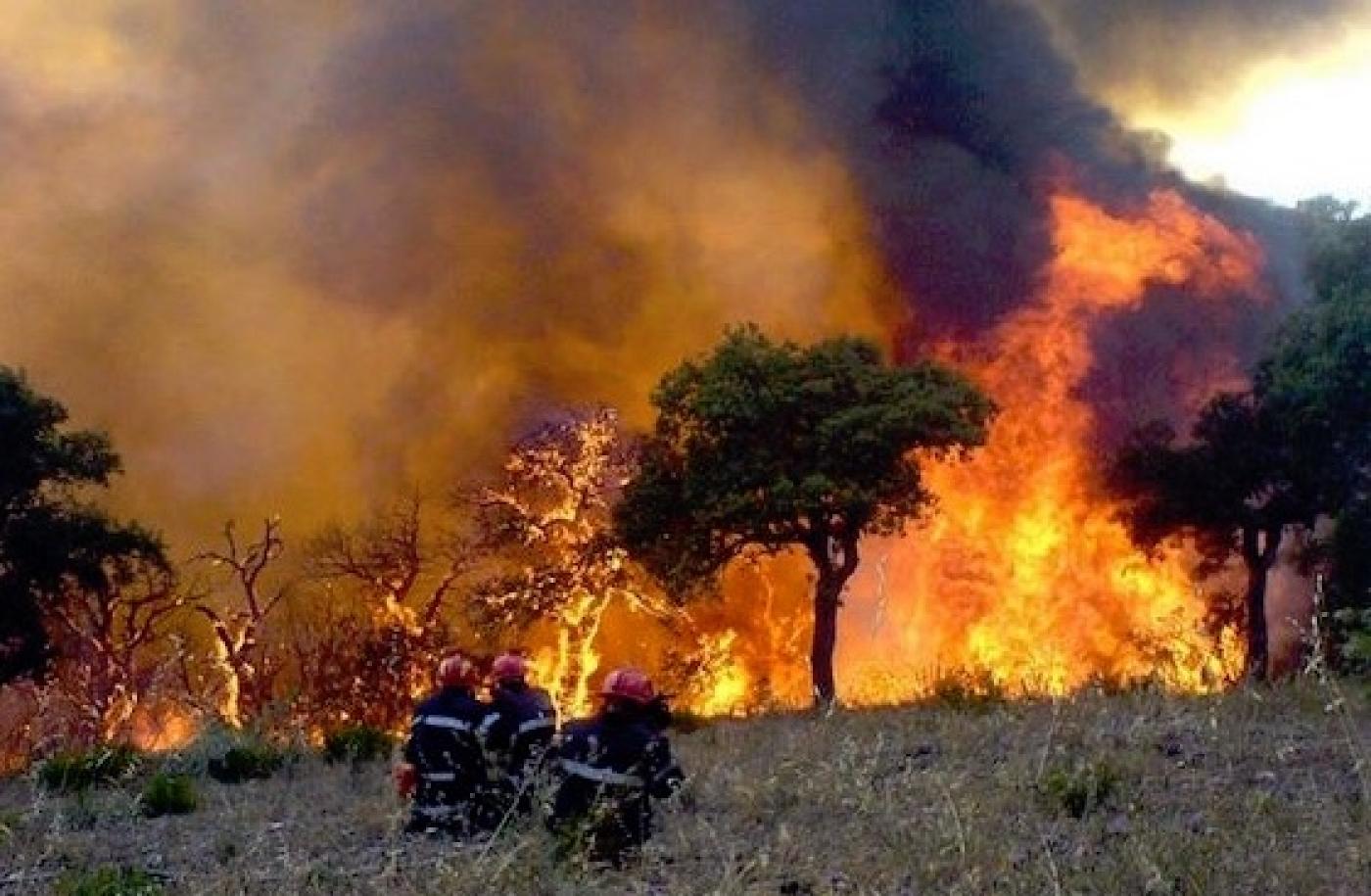 Algérie: Au moins 26 personnes ont péri dans des incendies