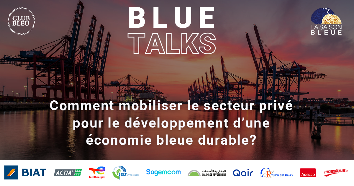 Comment mobiliser le secteur privé pour une économie bleue durable?