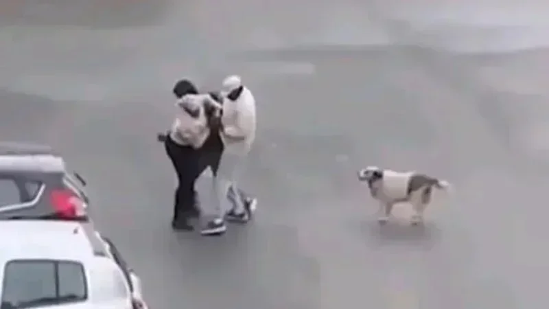 Braquage d’une femme à l’Ariana: Les quatre agresseurs arrêtés