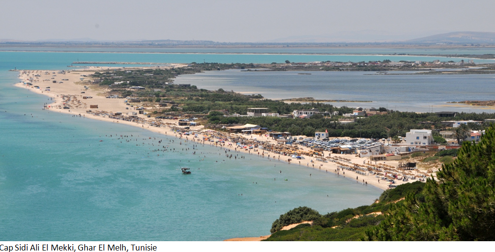 Tourisme anarchique sur la plage de Sidi Ali El Mekki, Coucou et cap Farine: Péril imminent sur la région de Ghar El Melh