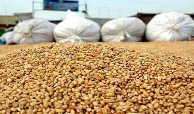 Céréales: vers une récolte record d'environ 20 millions de quintaux