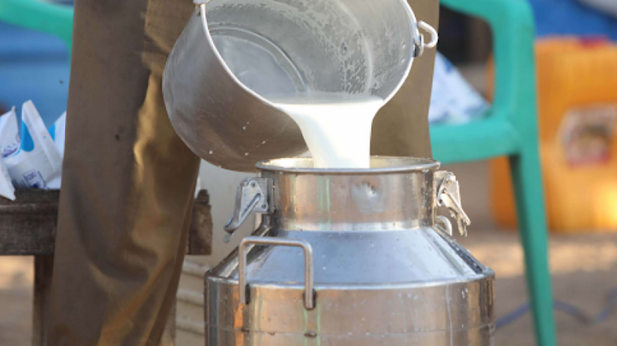 Les centres de collecte de lait décident de suspendre leurs activités