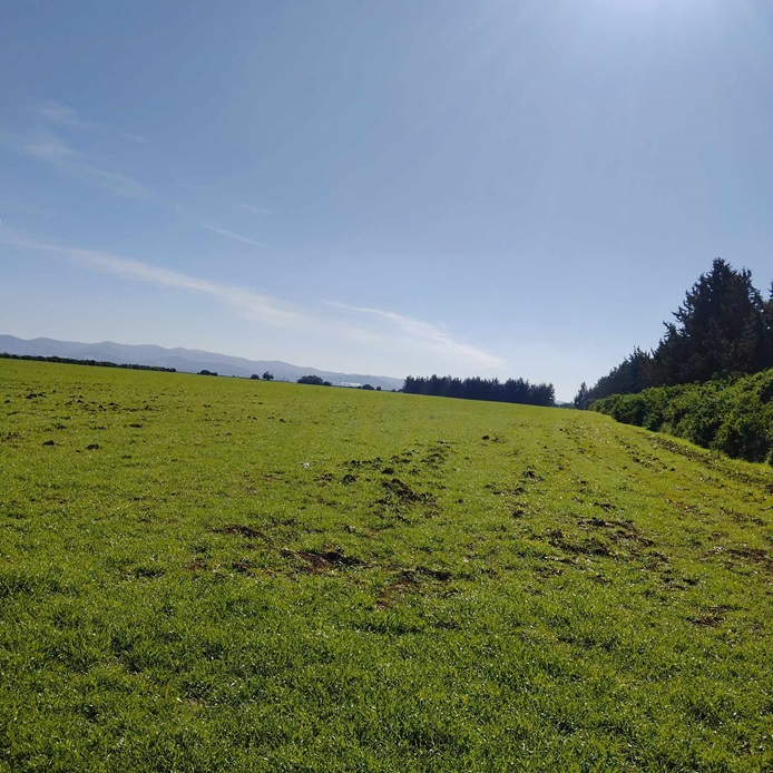 Manouba: Récupération de lots de terrains domaniaux agricoles sur 10 hectares