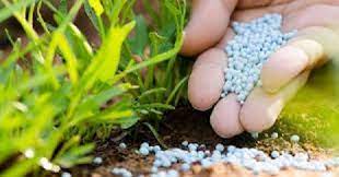 Agriculture : Les engrais sont disponibles en quantités suffisantes