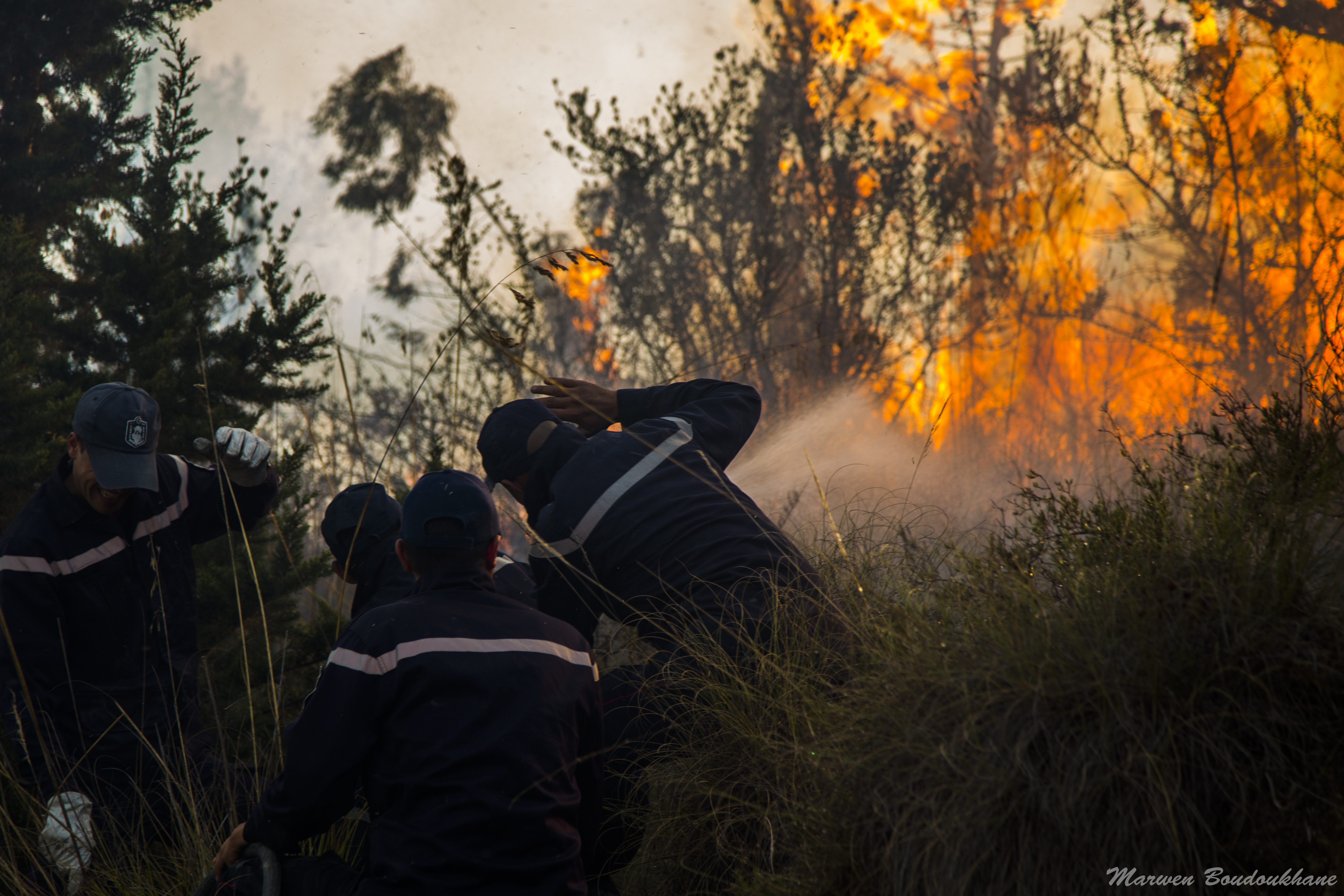 Incendie Nahli 8