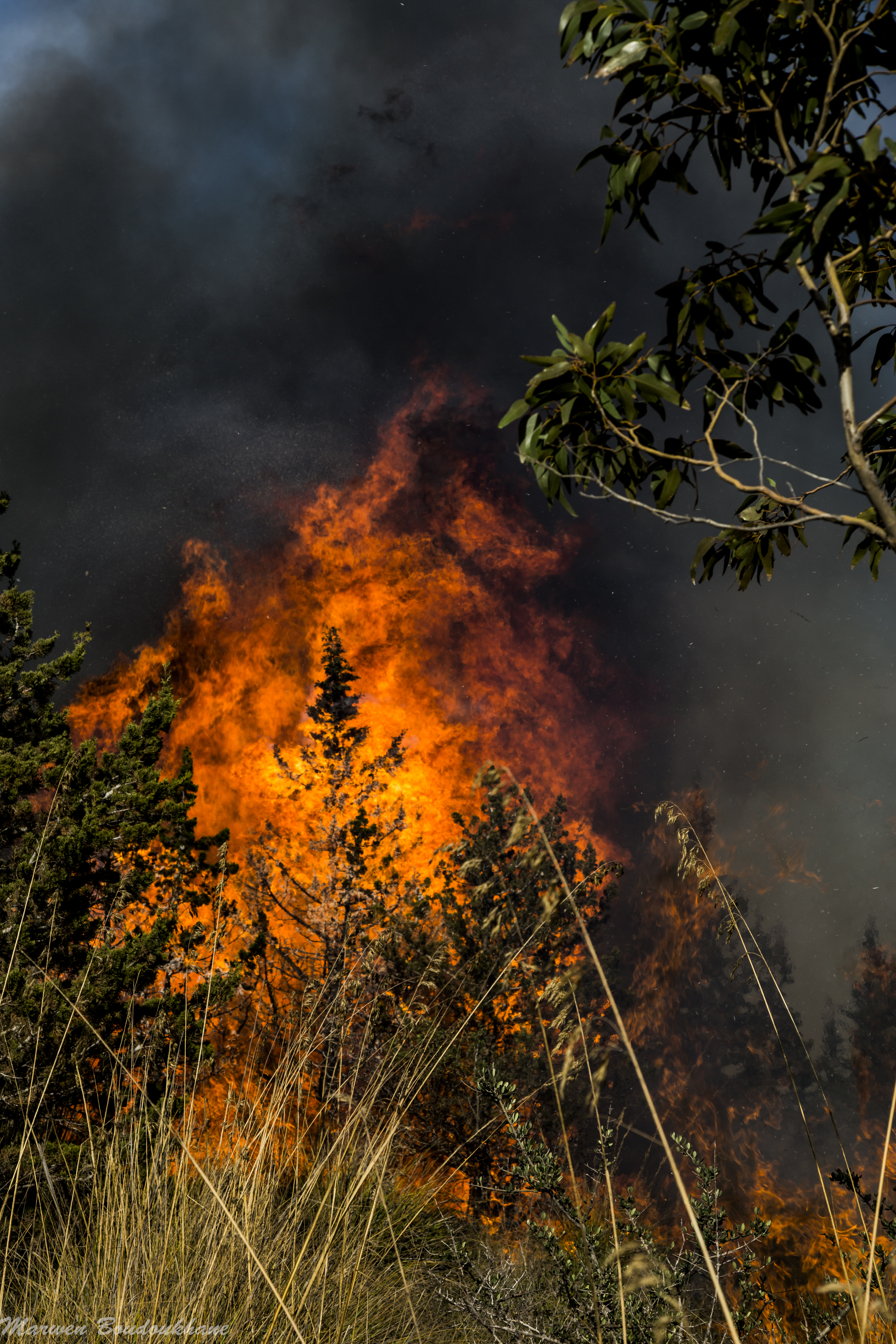 Incendie nahli 1