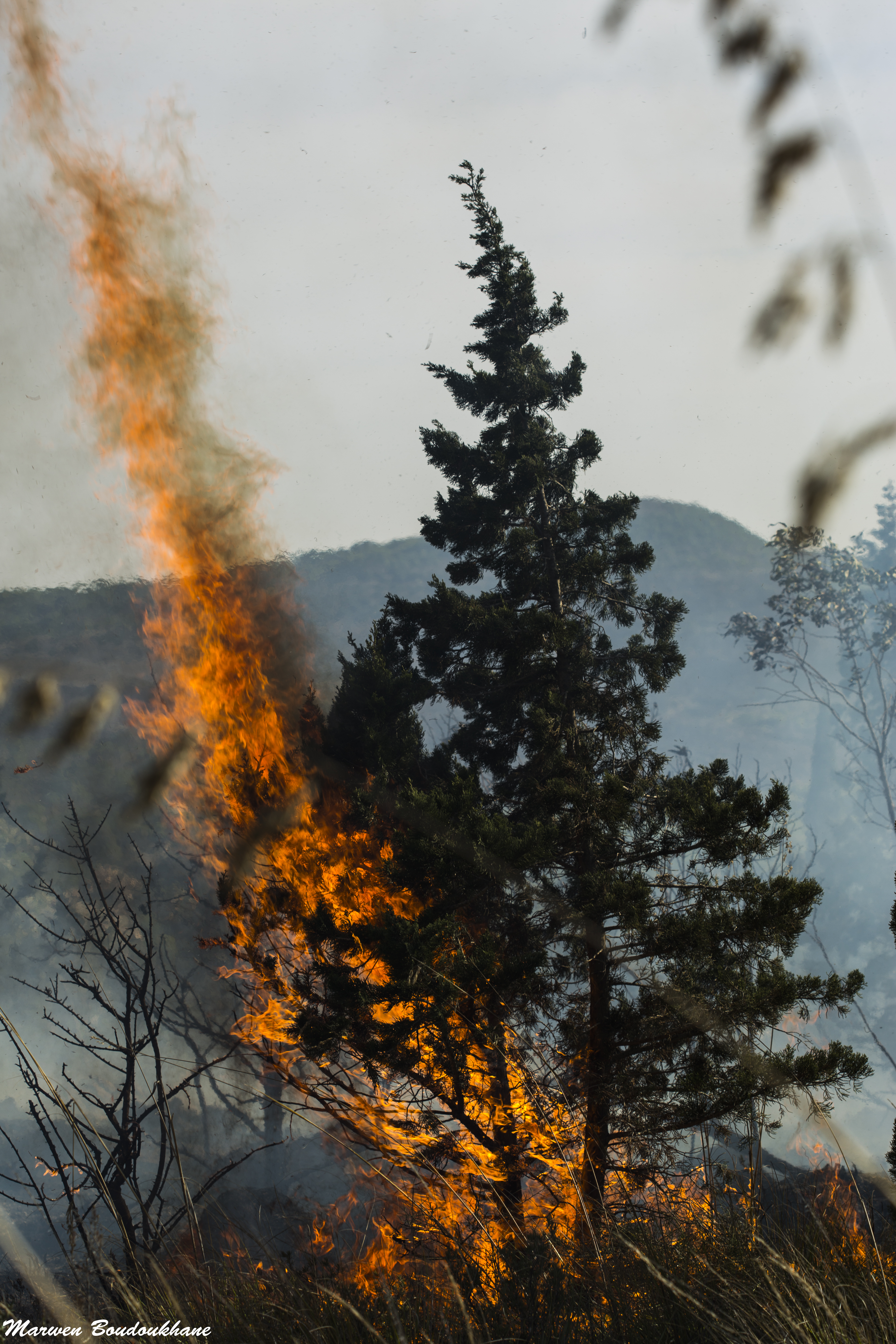 Incendie Nahli 2