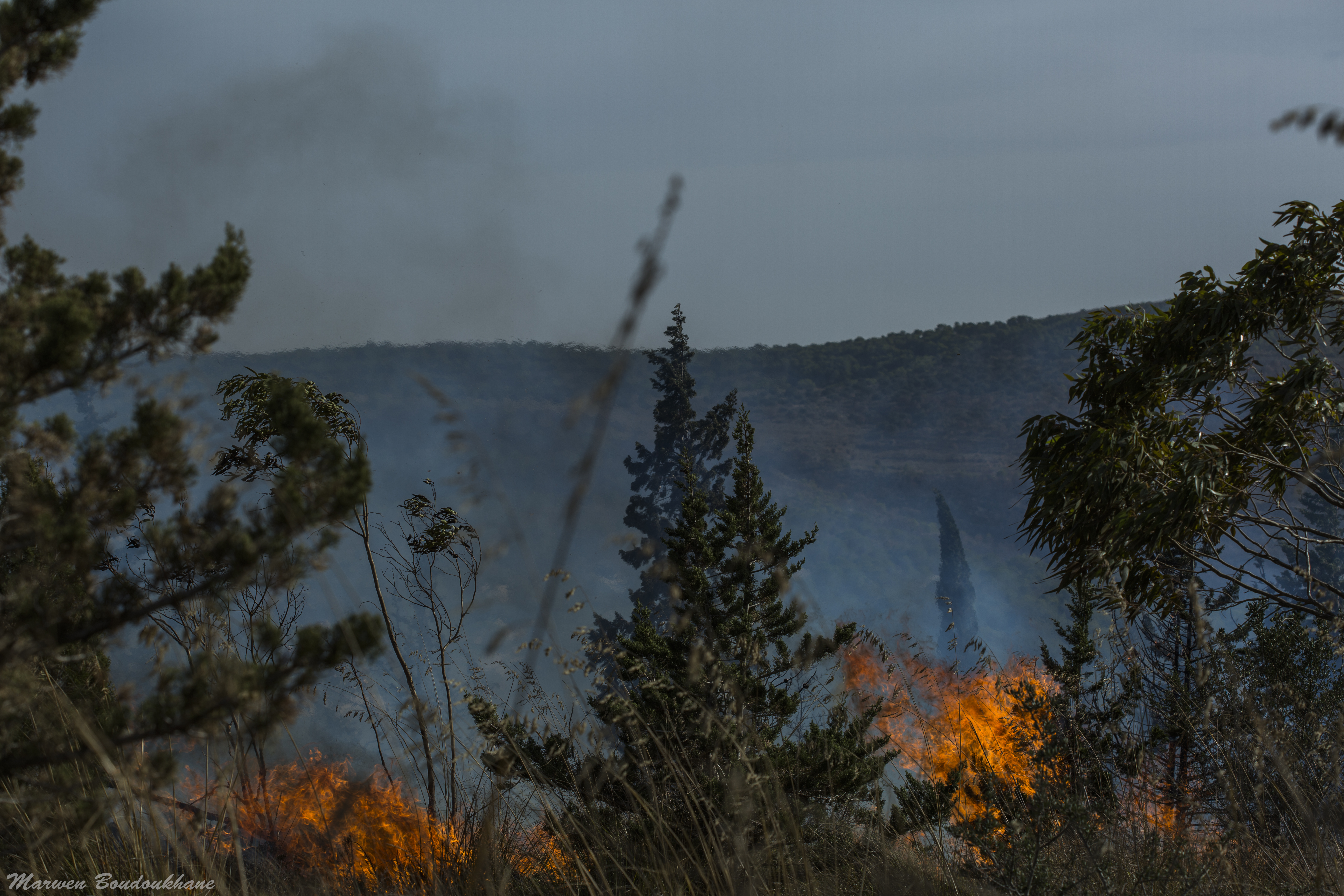 Incendie Nahli 3