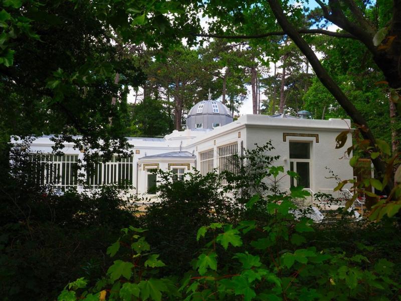 Le Jasmin de Tunisie refleurit au Bois de Vincennes à Paris
