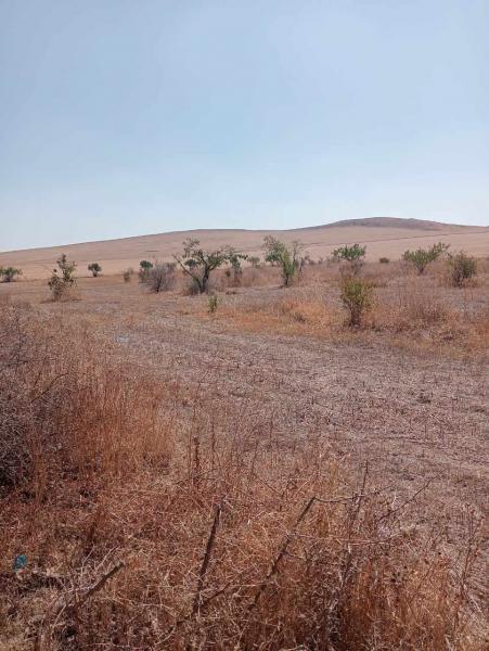 Récupération d'un terrain domanial d'une superficie de 11 ha à Manouba