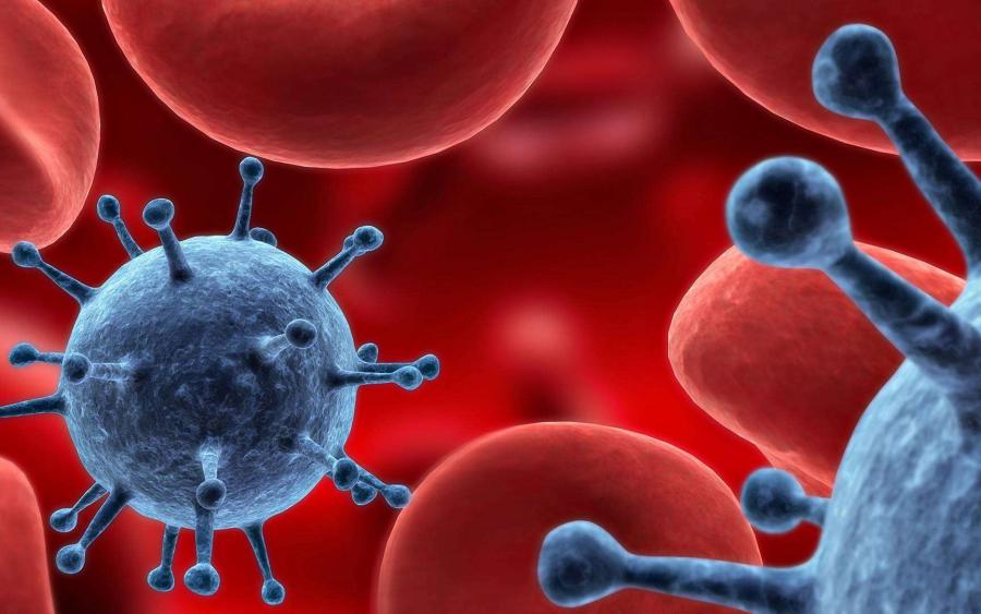 Covid-19: Baisse de 13% des nouvelles infections en une semaine (OMS)