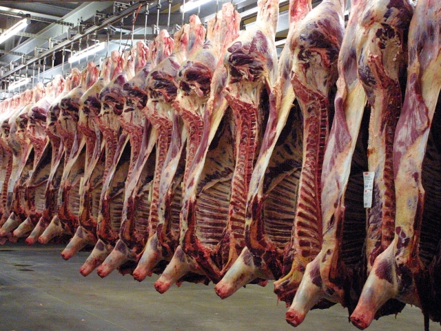"Les abattoirs tunisiens non conformes aux normes", selon l'Association mondiale vétérinaire