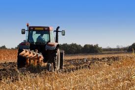 Tunisie: L’APIA approuve 2,6 MD d’investissements pour dynamiser le secteur agricole