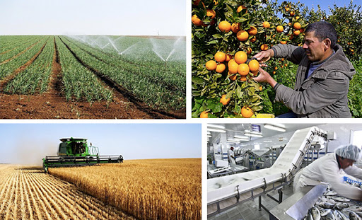 L’agriculture remporte le prix de la meilleure performance pour 2020 (Union Africaine)