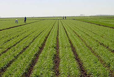 Tunisie-FADES: 100 millions DT pour booster l’agriculture dans le gouvernorat du Kef