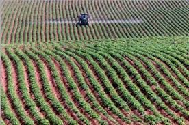 L'Etat tunisien récupère 68 mille hectares de terres squattées