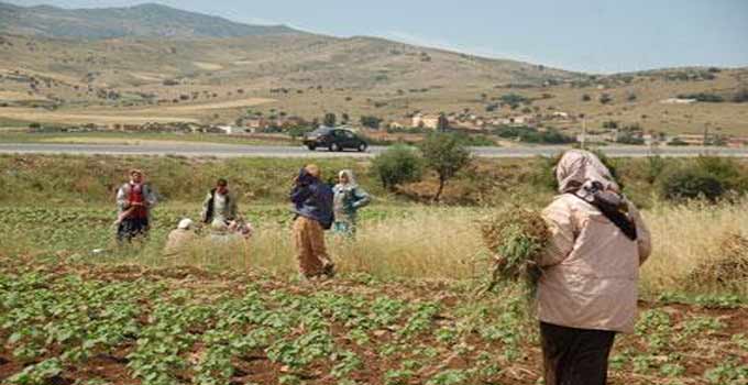Les agriculteurs appellent à réactiver le Fonds des catastrophes naturelles