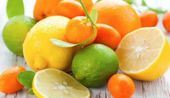 Tunisie : La production des agrumes devrait atteindre 365 mille tonnes pendant la saison 2024-2025