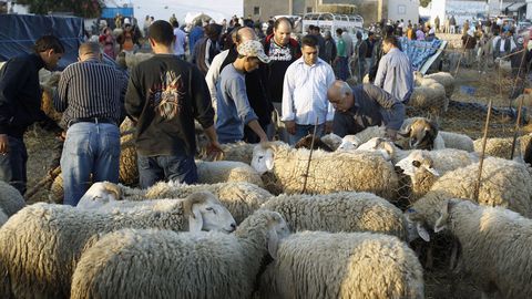 Aïd El Idha: Le ministère de la Santé met en garde !