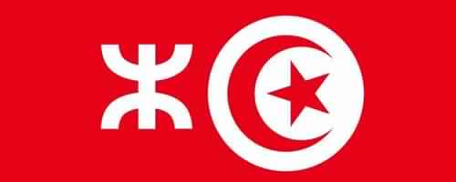 Rapport de l’ONU : la Tunisie dénigre sa culture amazighe