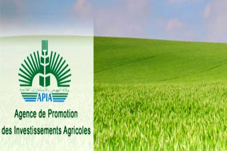 L’APIA approuve le financement de 5 projets d’investissement d’une valeur de 7 MD
