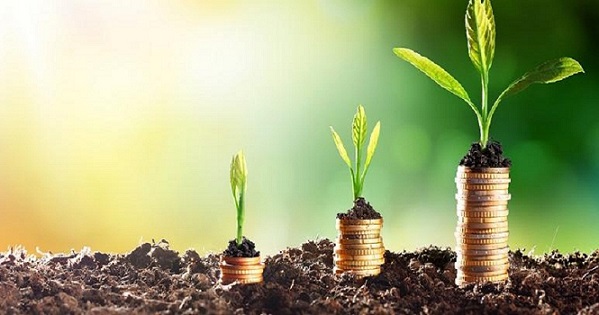 APIA : 102,6 MDT d’investissement agricole privé à fin avril 2025