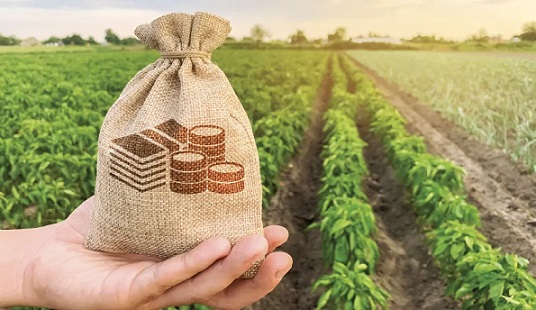 APIA : Baisse des investissements agricoles de 30,1% en valeur à fin juillet 2024