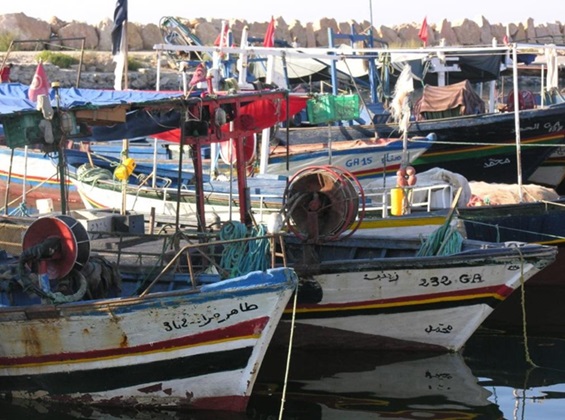 Tunisie - Economie bleue : Un potentiel à saisir et des risques à éviter 