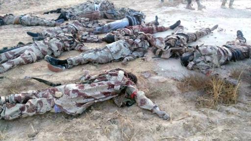 Egypte, guerre totale contre les jihadistes
