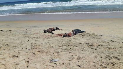   La Tunisie condamne fermement les attentats perpétrés à Abidjan et à Ankara