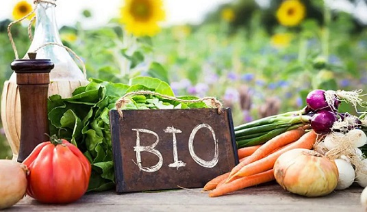 BAD - Zaghouan : 2 MDT alloués au développement des produits agricoles biologiques