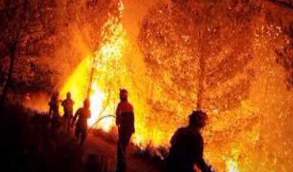 Siliana : Incendie maîtrisé à Djebel Bargou