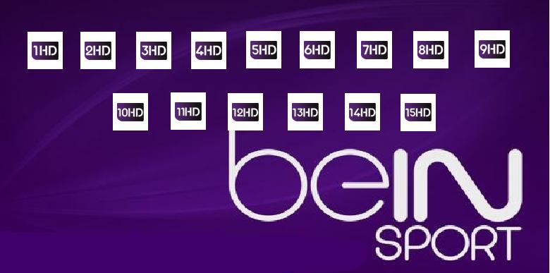 Mondial 2018 : les matchs de la Tunisie et des équipes arabes diffusés en clair sur beIN Sport