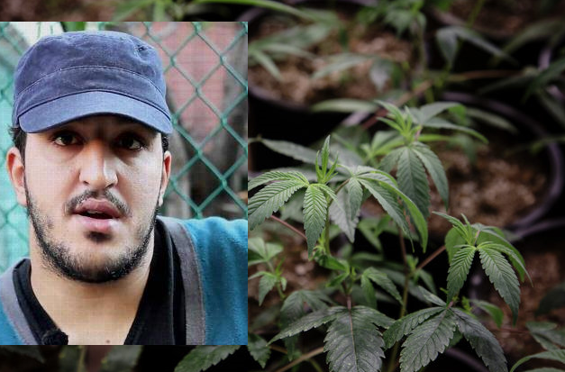 L'artiste Bendirman prône la légalisation du cannabis en Tunisie