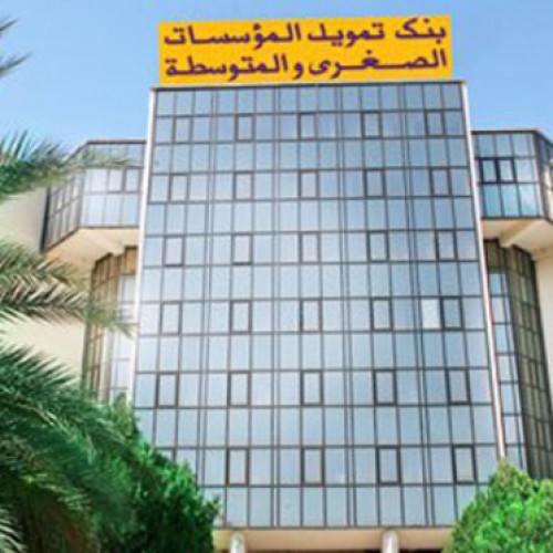  Lamia Zeribi, nouvelle PDG de la Banque de financement des PME 