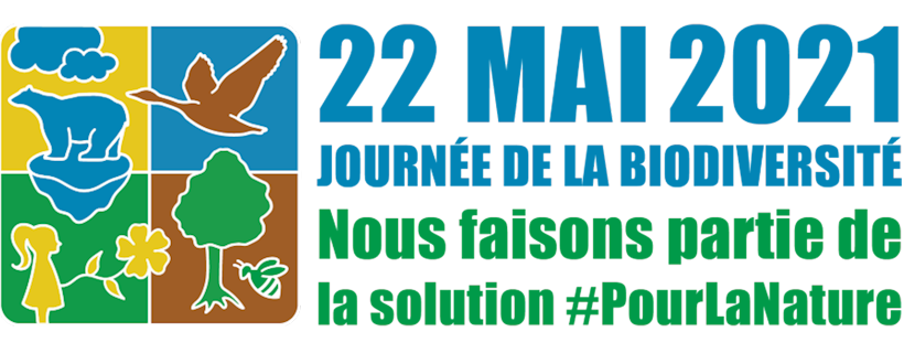 Journée internationale de la diversité biologique: Des oliviers plantés dans les écoles tunisiennes 