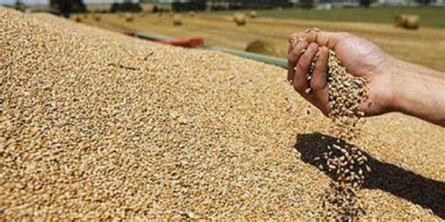 Céréales : appel d’offres international pour l’achat de 125.000 tonnes de blé tendre