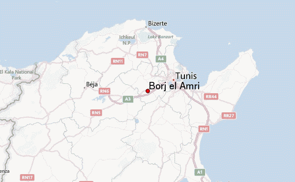 Intempéries : Une femme de 69 ans trouve la mort à Borj El-Amri