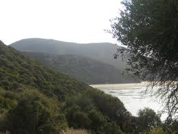 Création de petits projets au profit de 77 familles près du parc national de Bouhedma