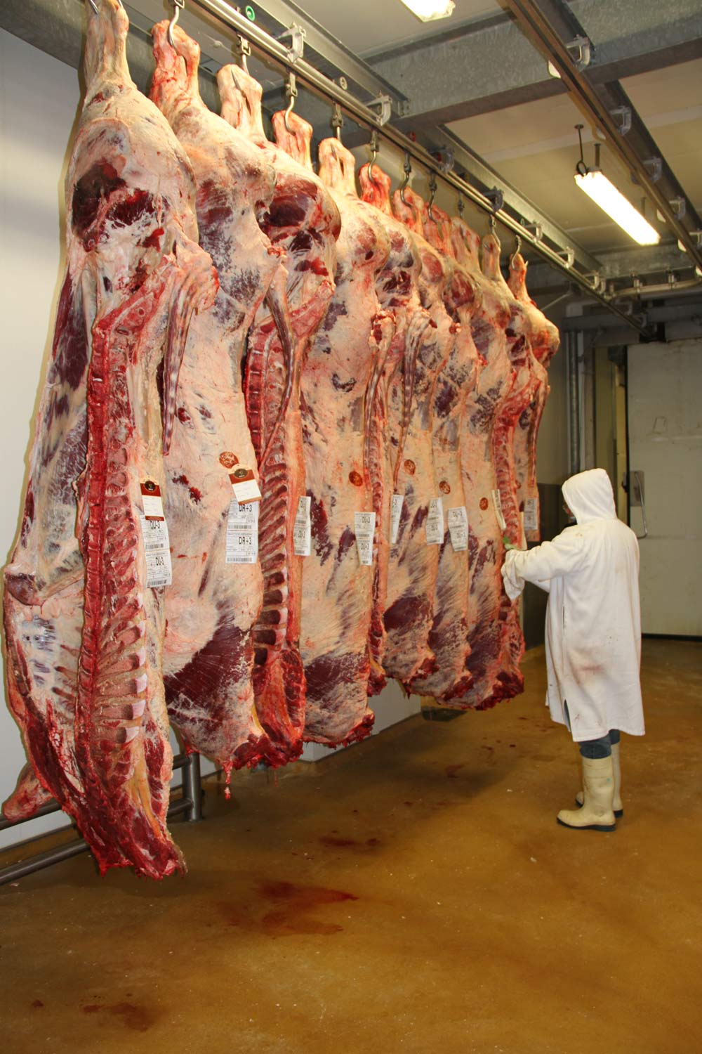 Viande bovine: Les éleveurs en colère