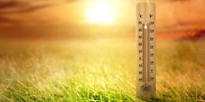 OMM - Rapport : la canicule en 2022 a provoqué une dégradation de la qualité de l’air