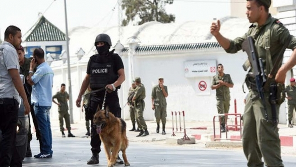 Ils méritent plus d'égard...