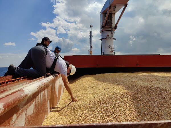 Hausse des importations céréalières pour atteindre 2,4 milliards de dinars